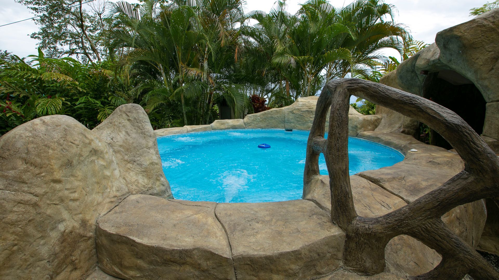 Pequeña piscina azul con borde de rocas y plantas tropicales a su alrededor.