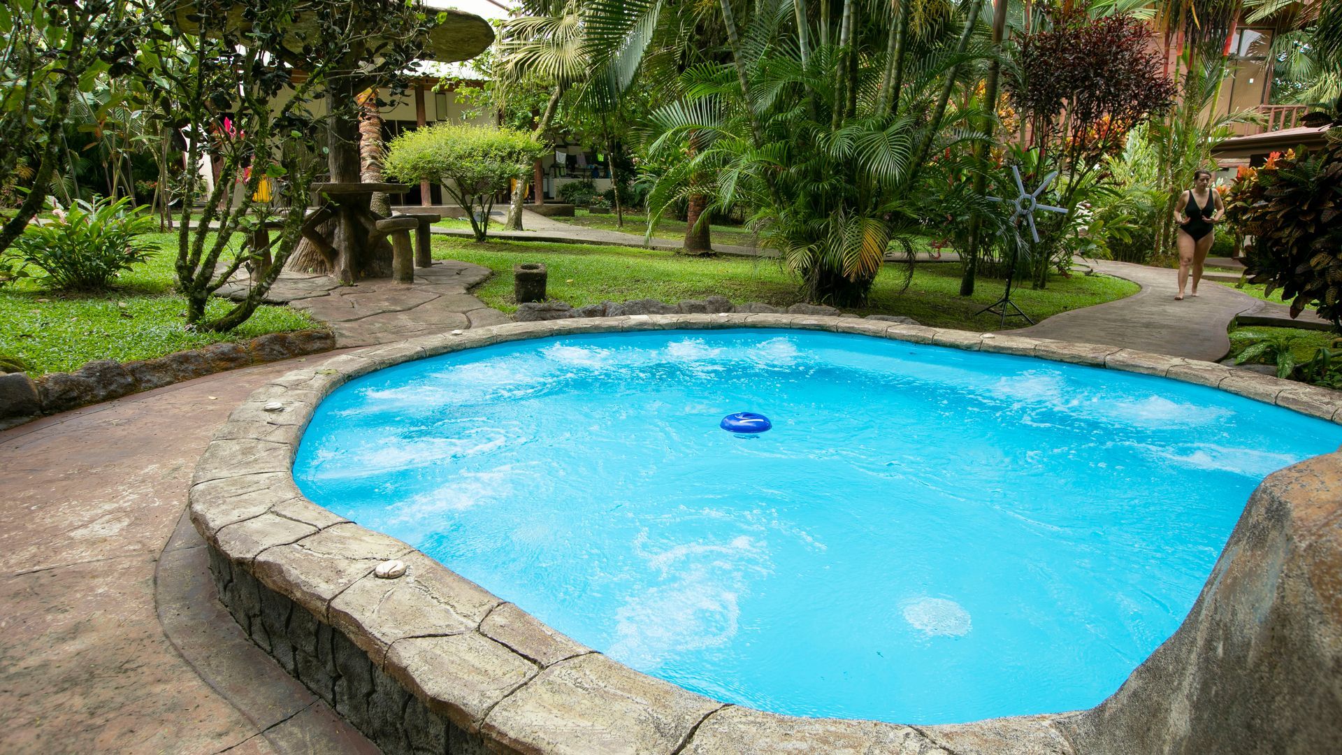 Pequeña piscina azul en un jardín exuberante con bordes de piedra y árboles a su alrededor.