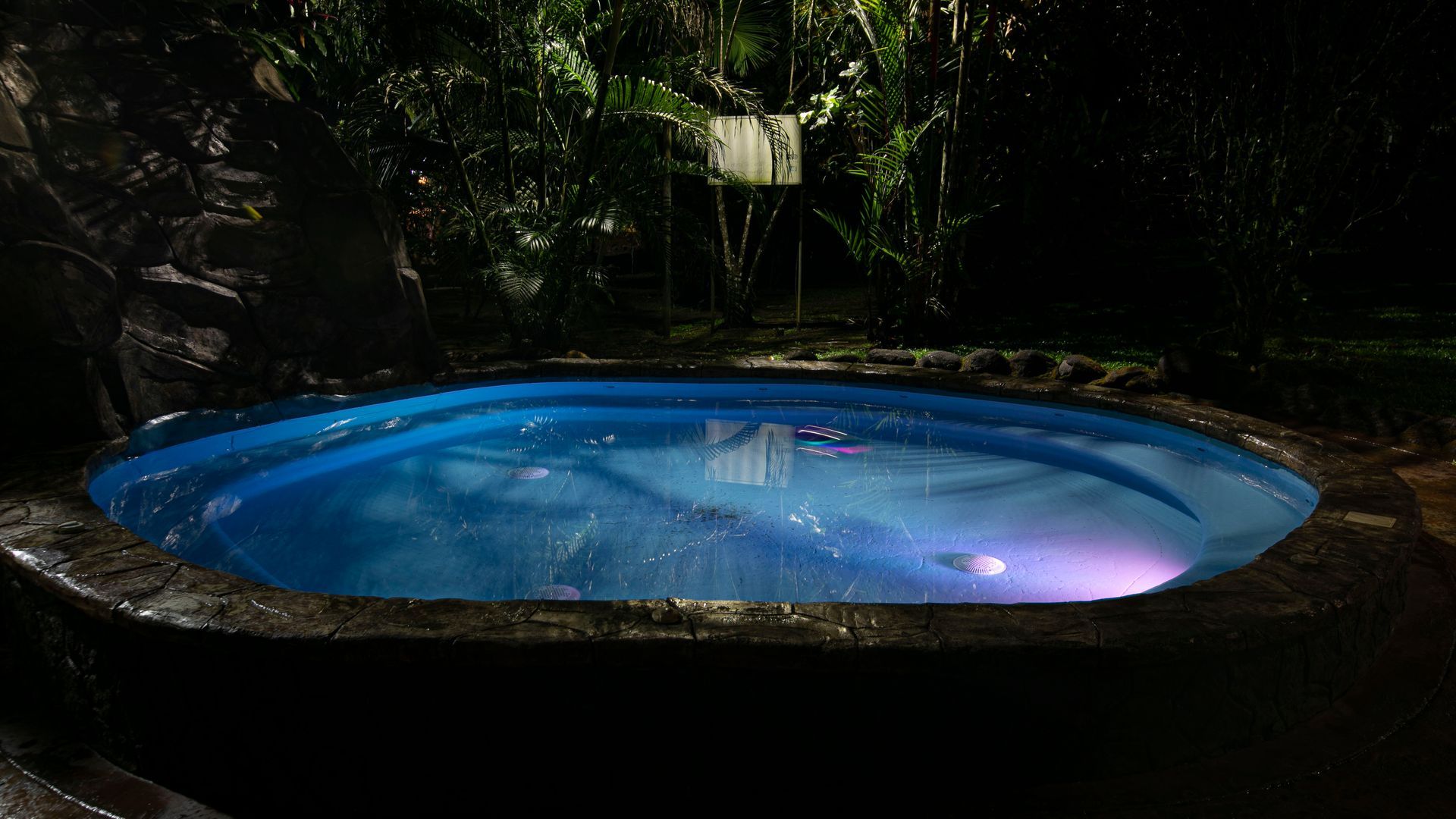 Pequeña piscina iluminada con luz azul por la noche, rodeada de densa vegetación tropical.