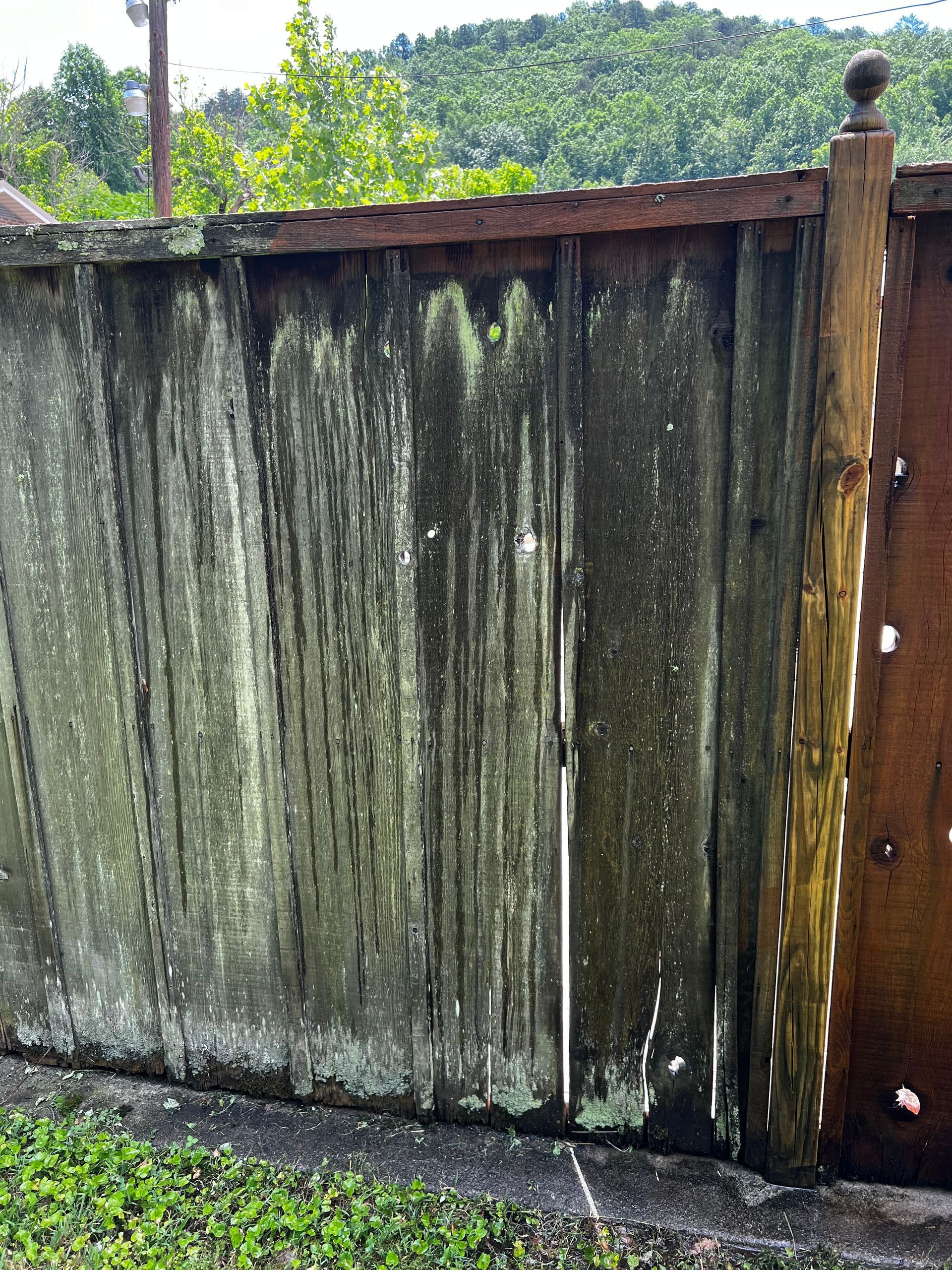 A close up of a wooden fence with moss growing on it.Job done by 865 Power Wash