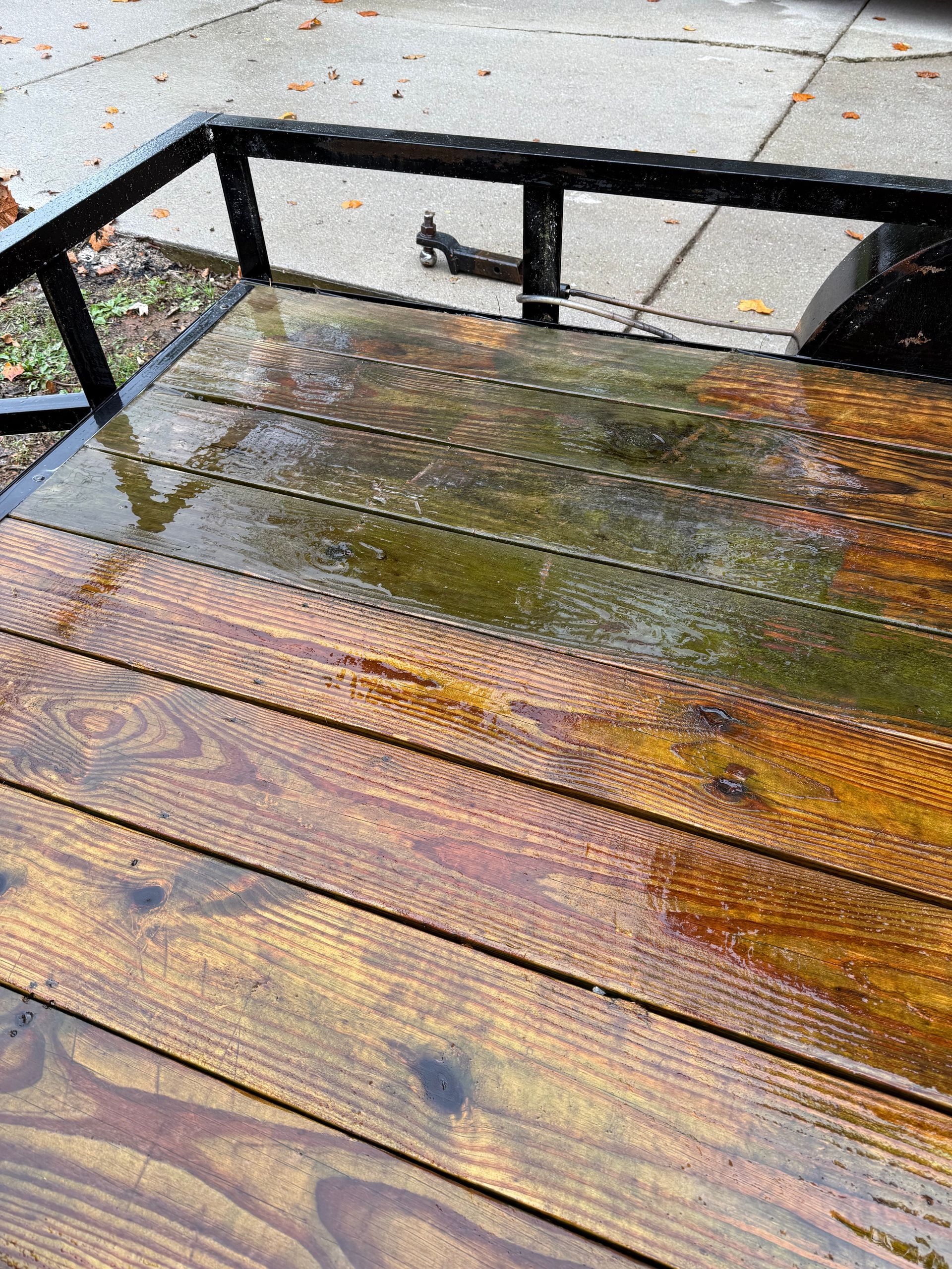 A wooden deck with a metal railing is covered in green algae.