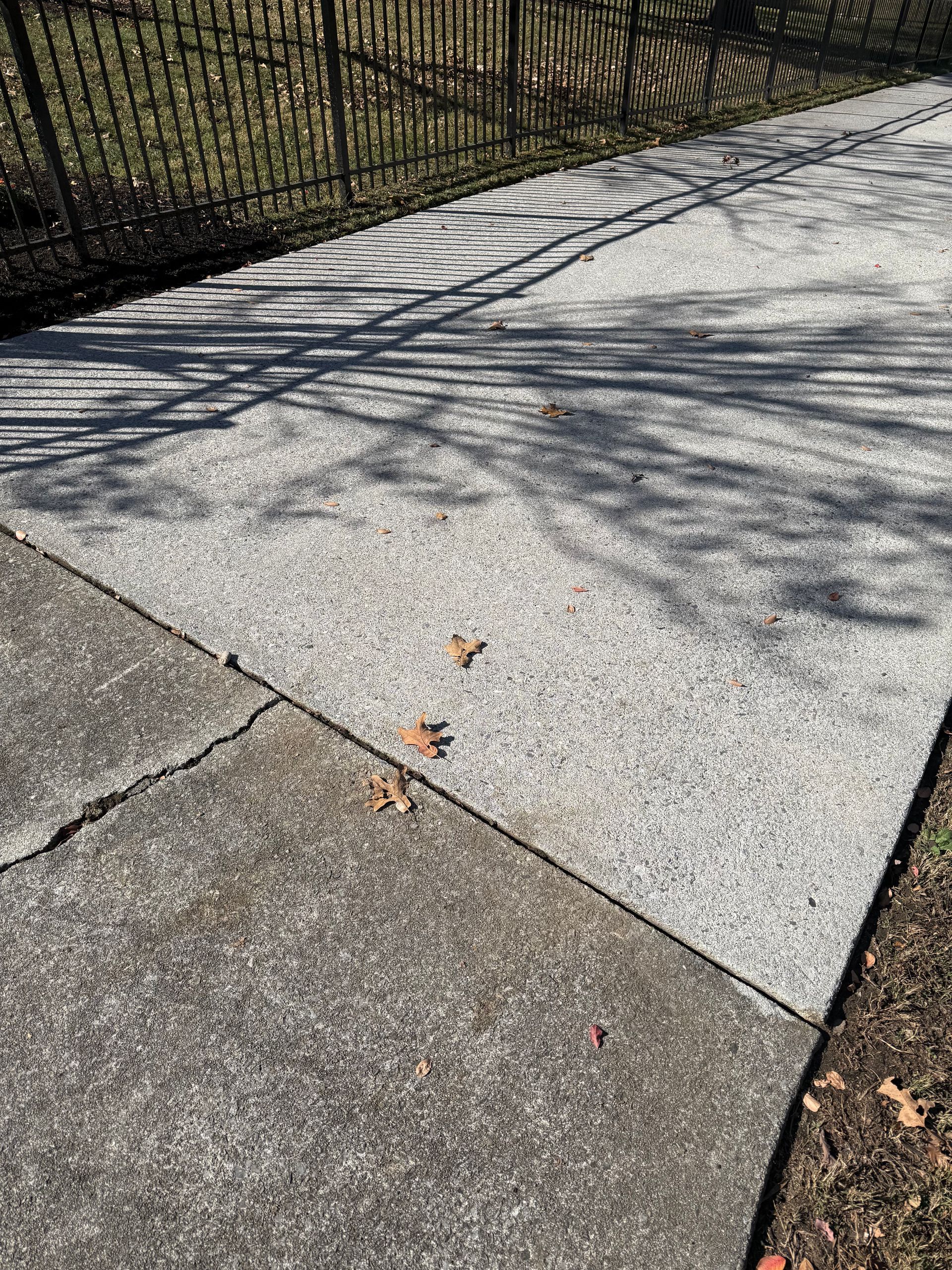 A concrete sidewalk with leaves on it and a fence in the background.Cleaning by 865 Power Wash