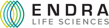 Endra logo