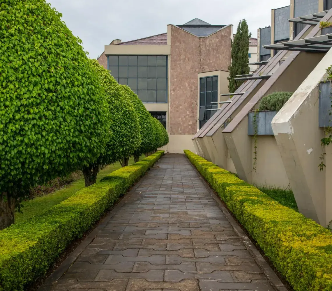 A stone walkway flanked by manicured green hedges leads toward a modern, multi-story building with geometric architecture.