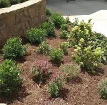 A curved stone retaining wall borders a garden bed planted with various green shrubs, small flowering plants, and mulch.