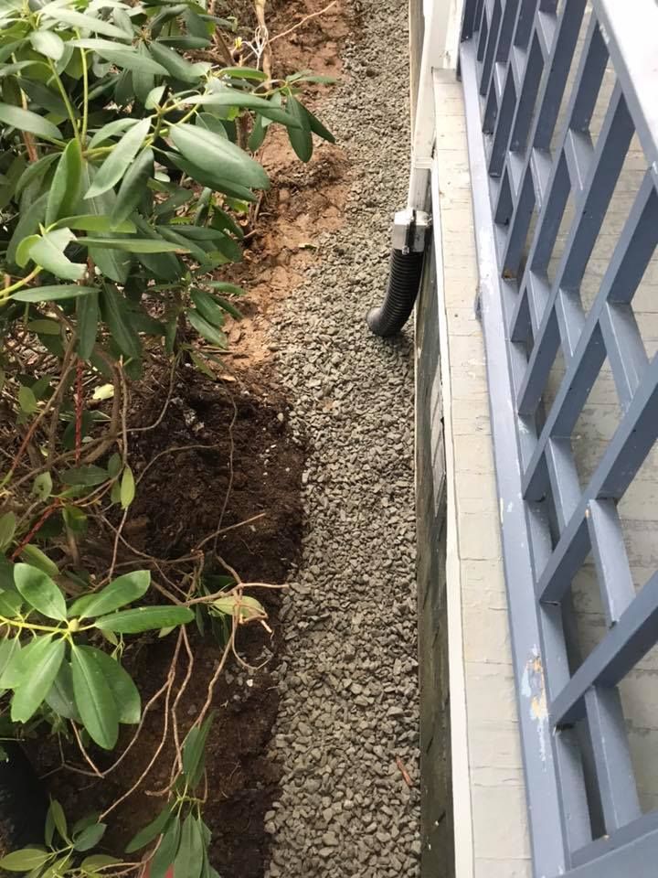 Narrow gravel strip beside a house wall, bordered by shrubs and a blue lattice fence.
