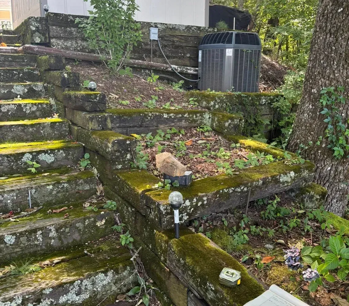 A small squirrel sits on mossy stone stairs leading up to a house with an air conditioning unit in the yard.