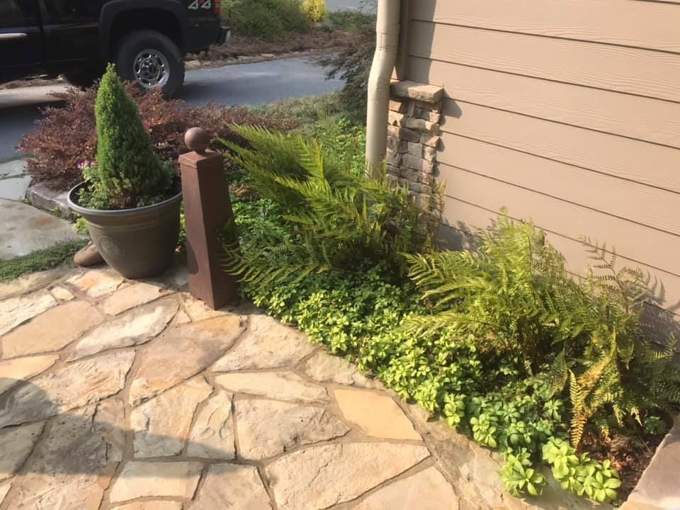 Stone walkway beside beige house with potted topiary and green shrubs in front yard