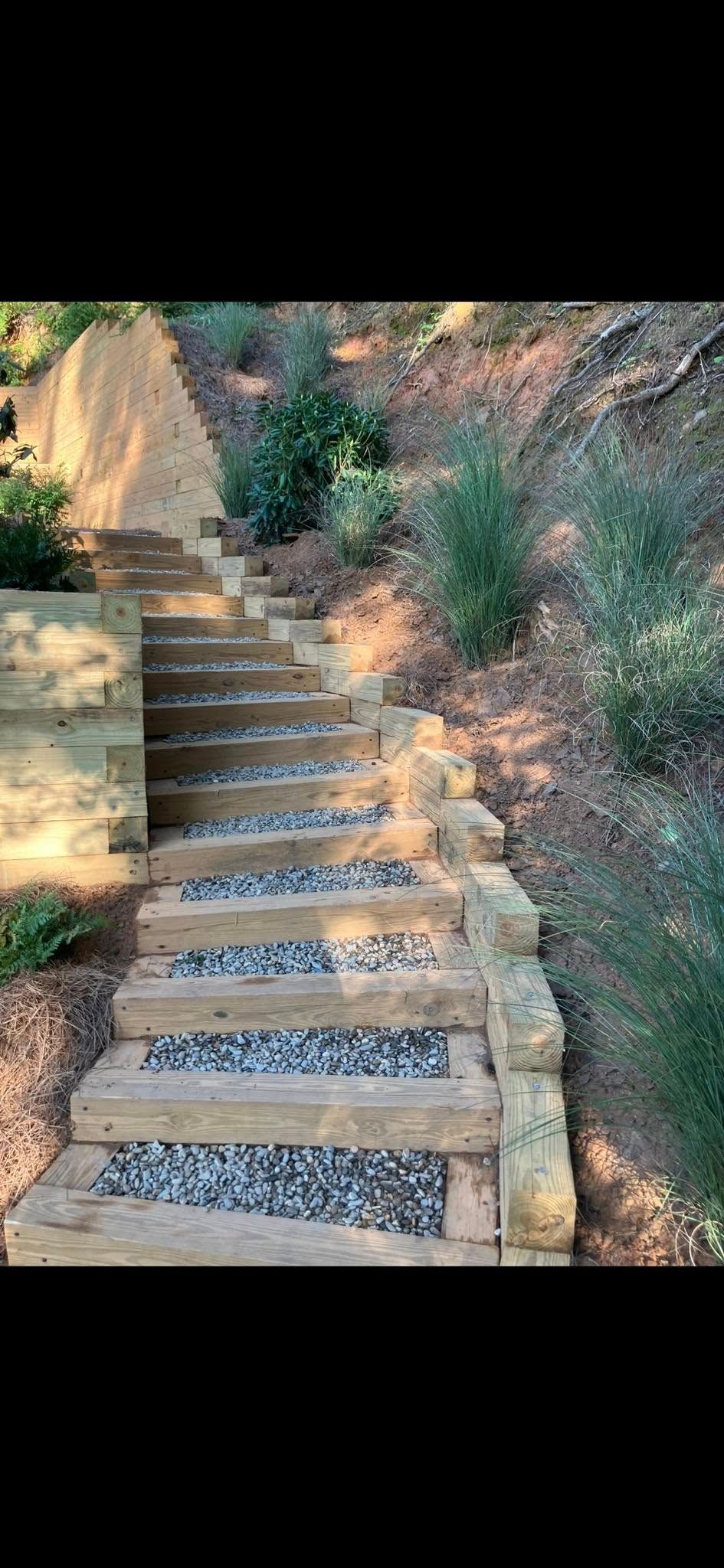 Stone steps climbing a sunlit dirt hillside with shrubs and trees