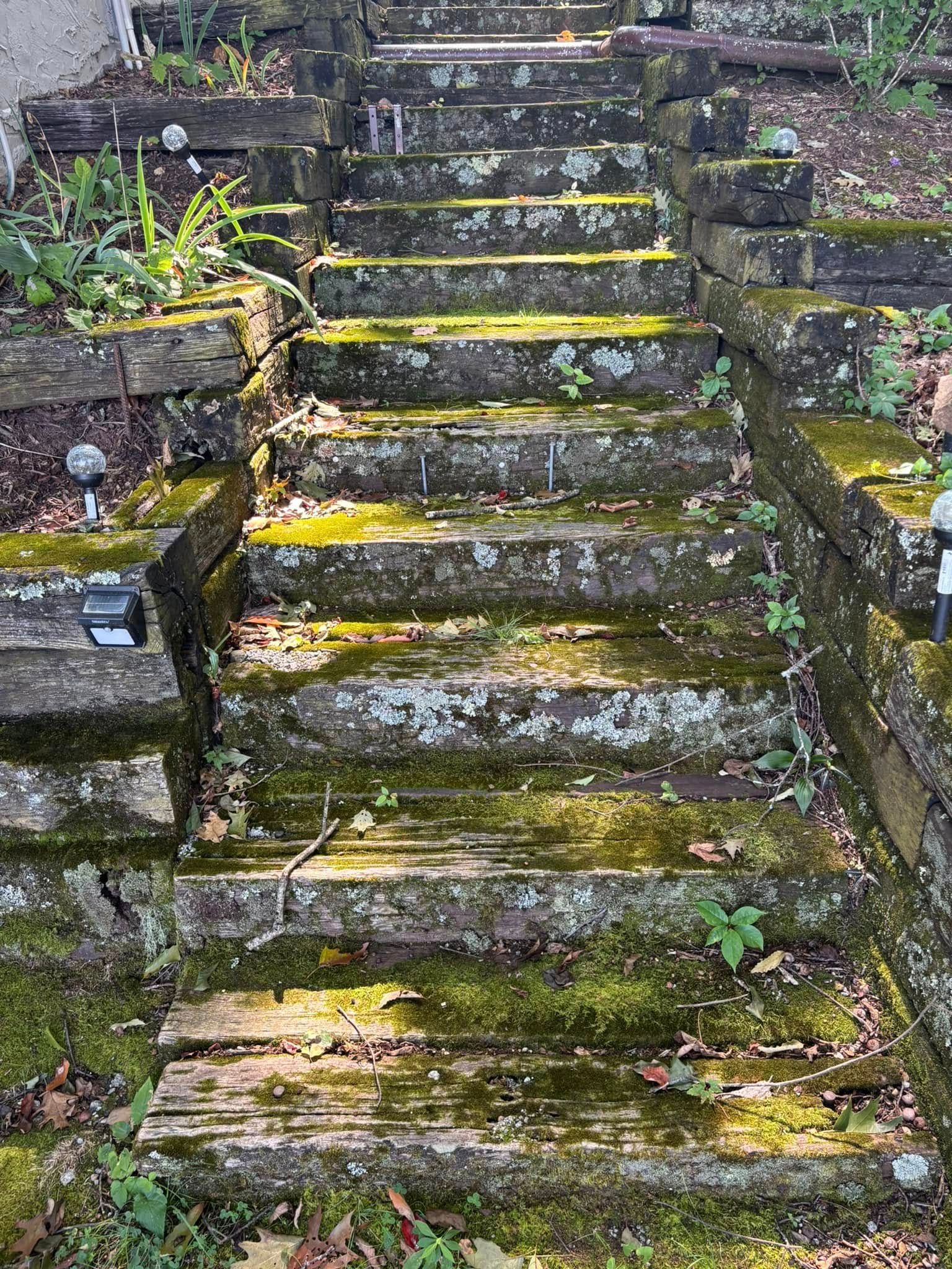Moss-covered stone steps ascending between old stone walls in a wet, overgrown garden