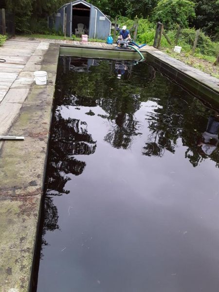 A person pumps murky water out of a rectangular outdoor swimming pool surrounded by a concrete deck and greenery.