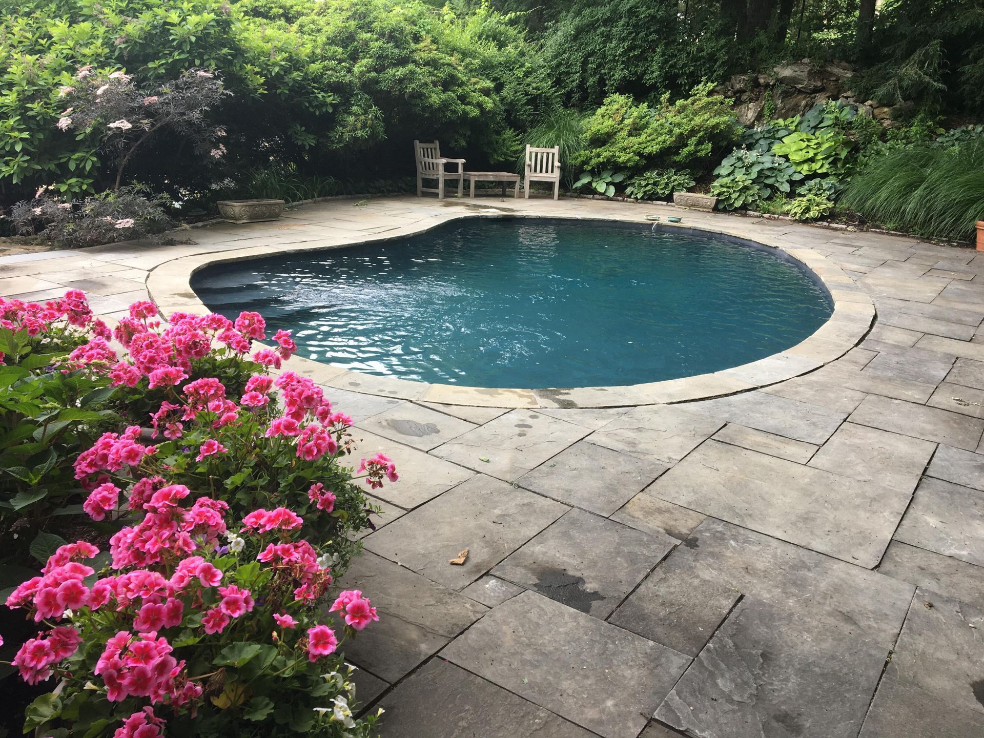 A kidney-shaped swimming pool with stone patio and bright pink flowers in the foreground, surrounded by lush greenery.