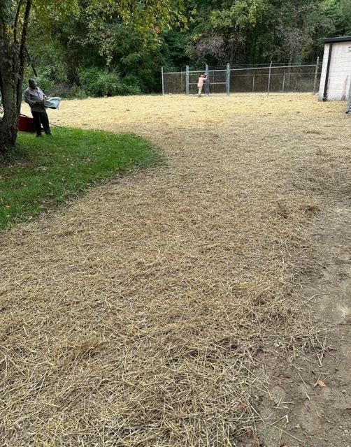 landscaping of commercial field