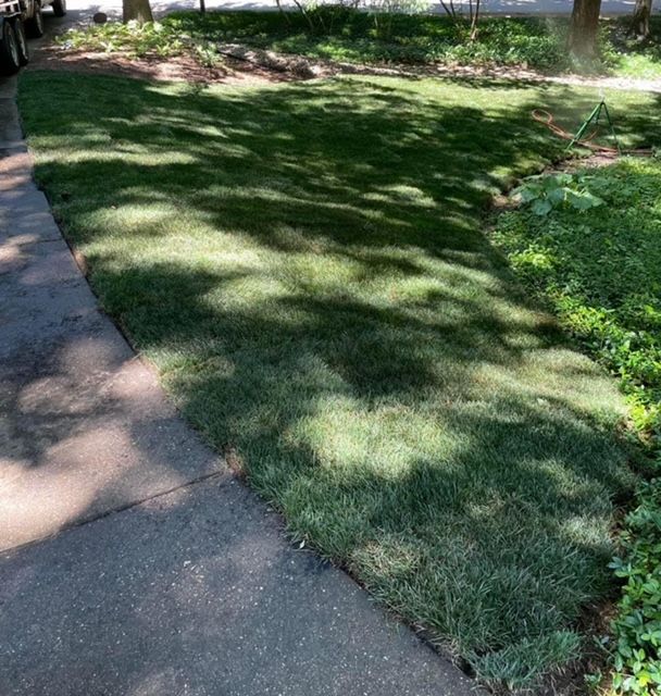 residential home with landscaped yard