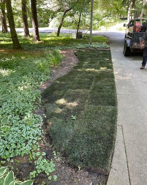 residential home with landscaped yard