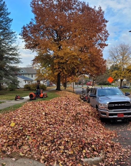 residential home with landscaped yard