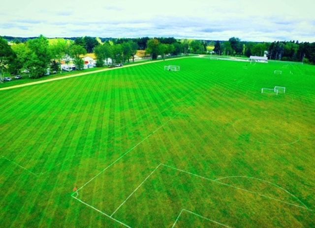 landscaped field