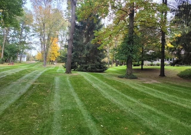 residential home with landscaped yard