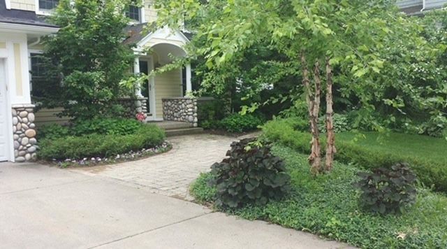 residential home with landscaped yard