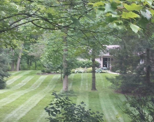 residential home with landscaped yard
