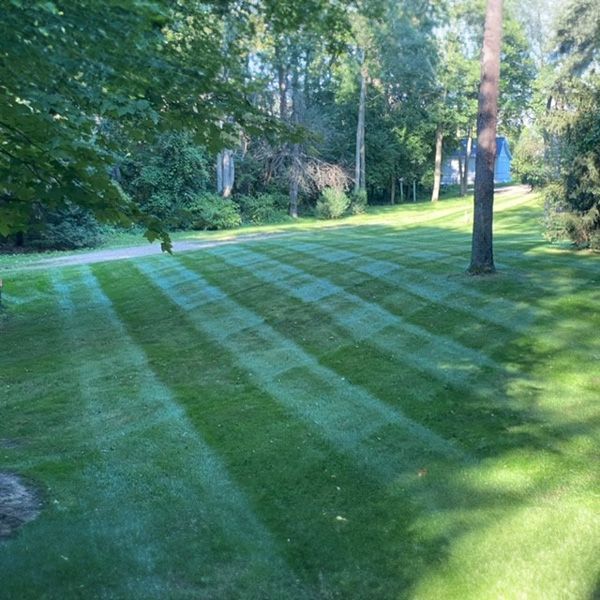 residential home with landscaped yard