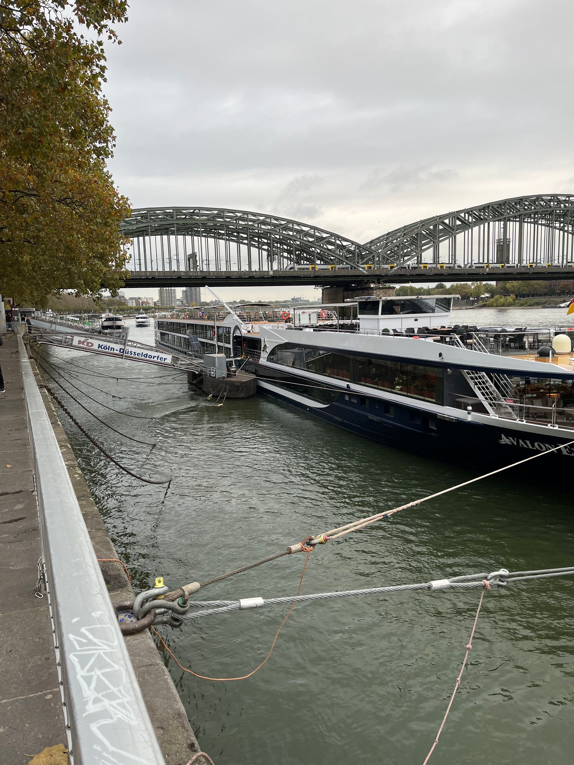 Rhine river 