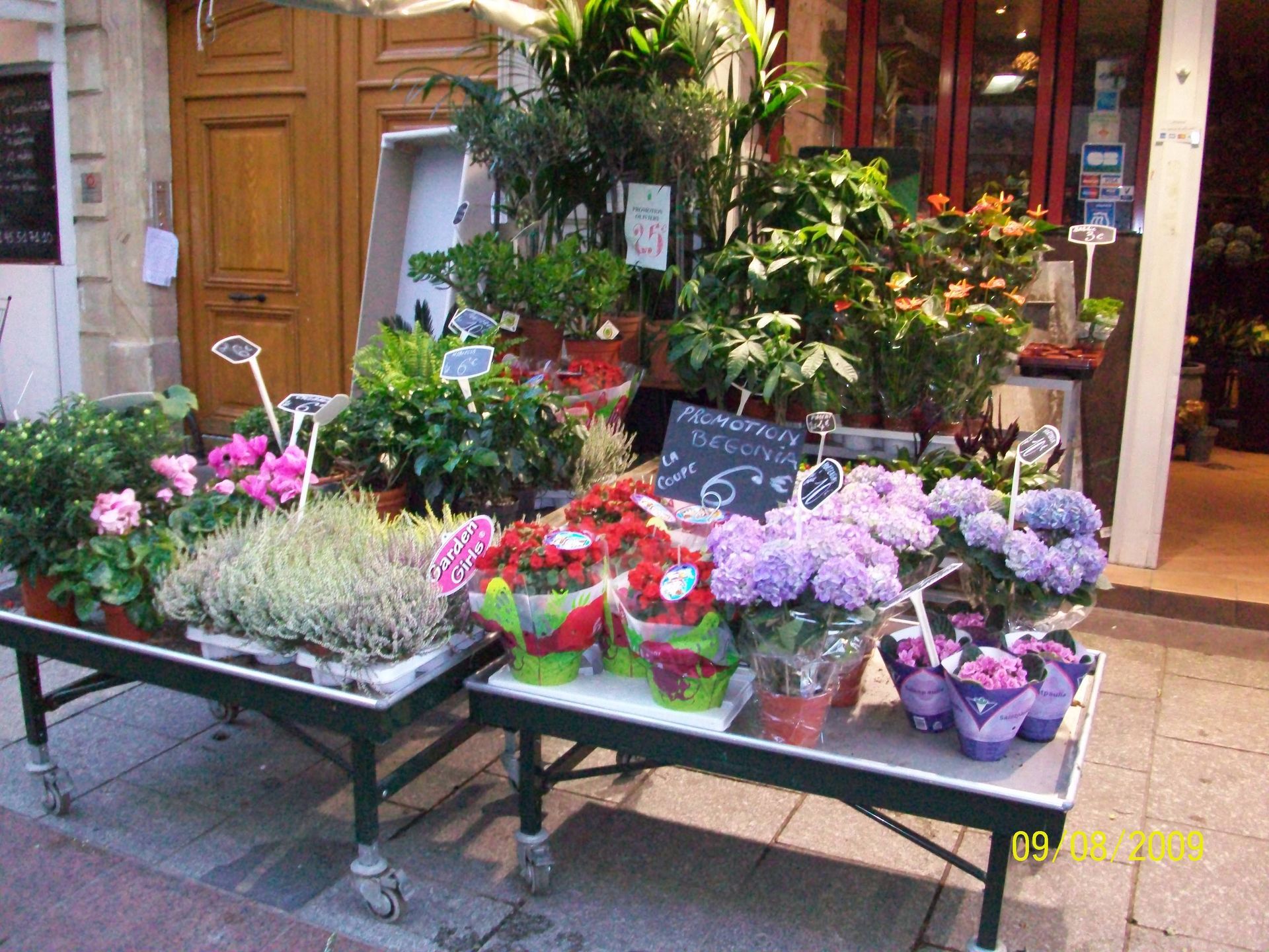 Parisian culture