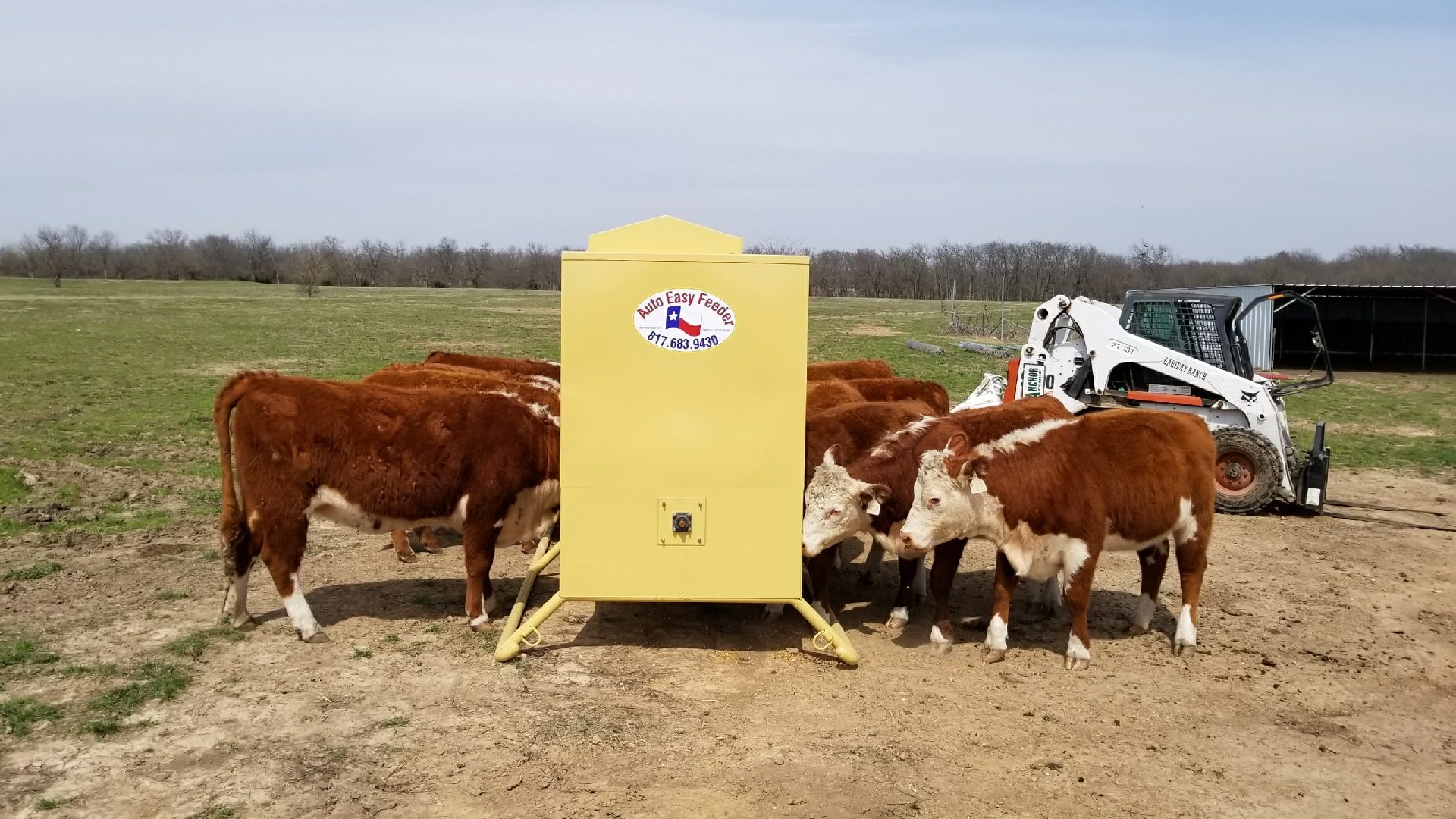 Cattle Feeder Arlington, TX Auto Easy Feeder