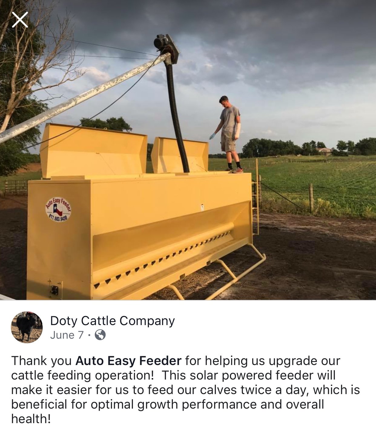 Cattle Feeder Arlington, TX Auto Easy Feeder