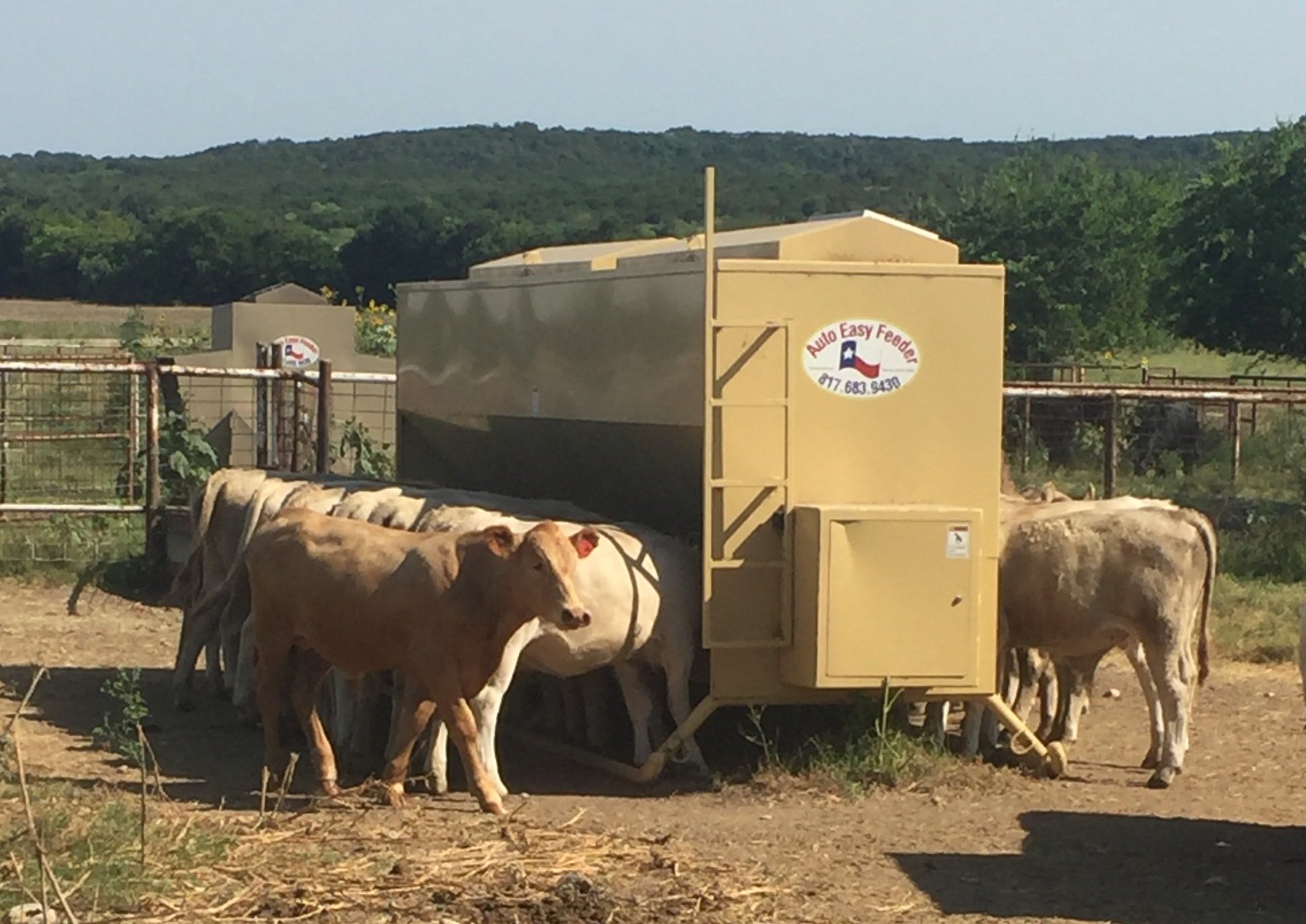 Cattle Feeder Arlington, TX Auto Easy Feeder