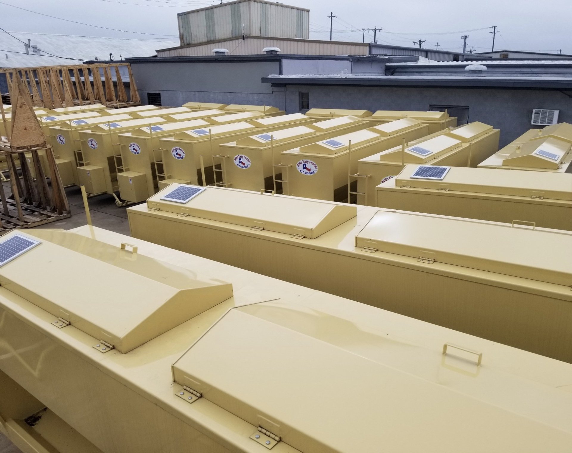 Programmable Cattle Feeder Arlington, TX Auto Easy Feeder