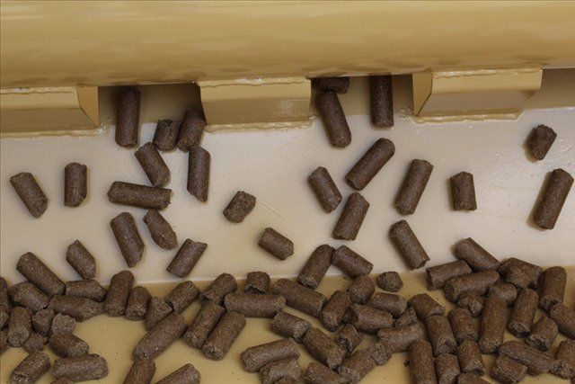 Livestock Feeds — Arlington, TX — Auto Easy Feeder