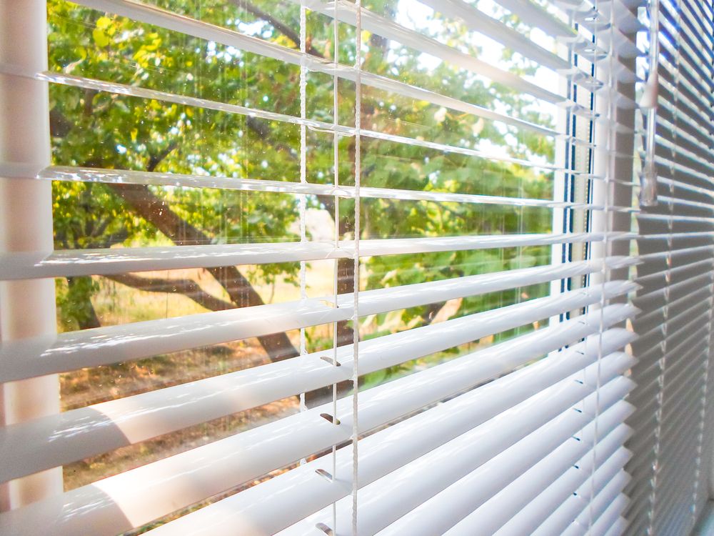A Window With Blinds and a Potted Plant on the Window Sill — Lismore Blinds in North Lismore, NSW