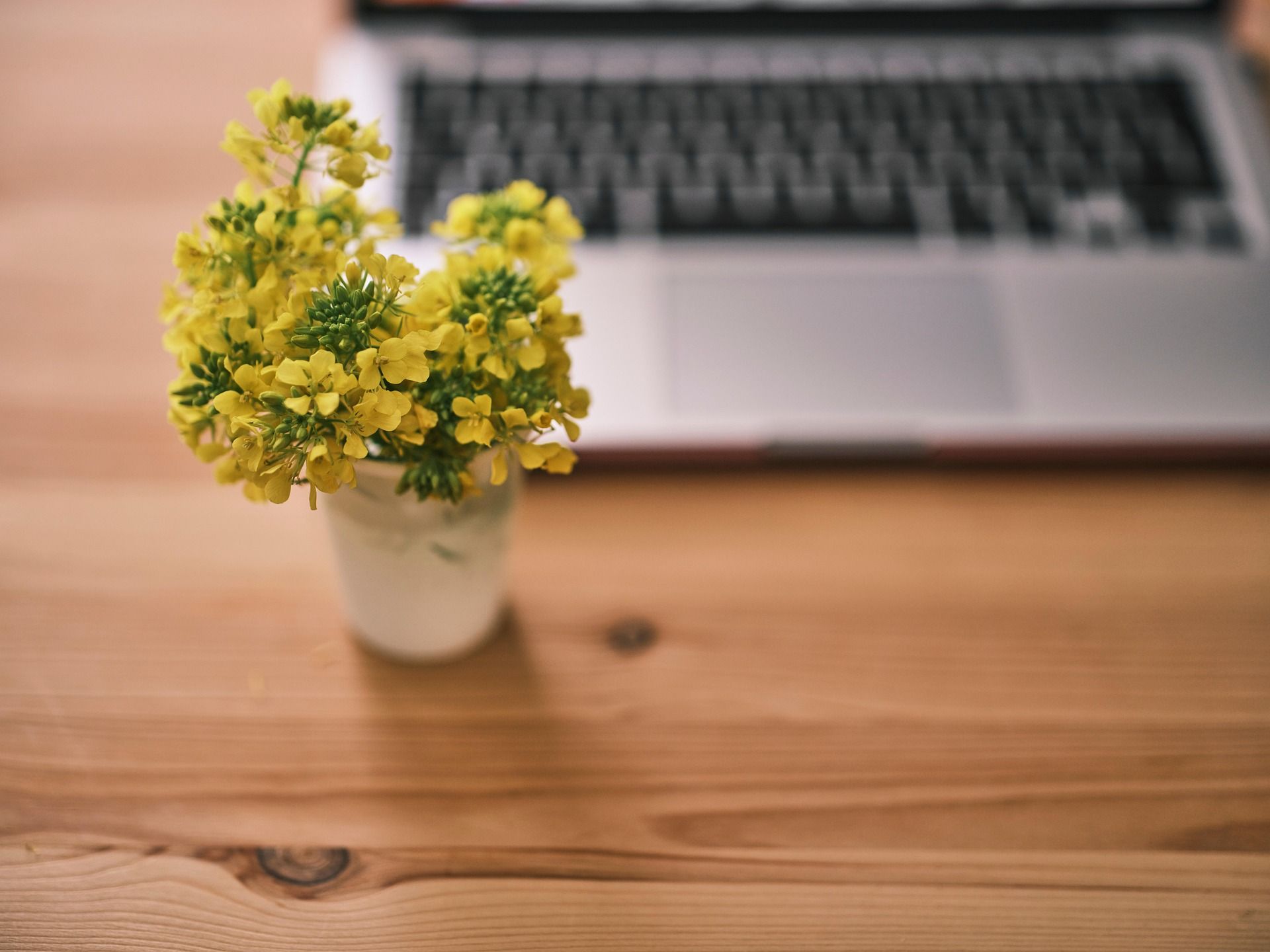 A small vase of bright yellow flowers sitting on a wooden desk next to a blurred laptop.