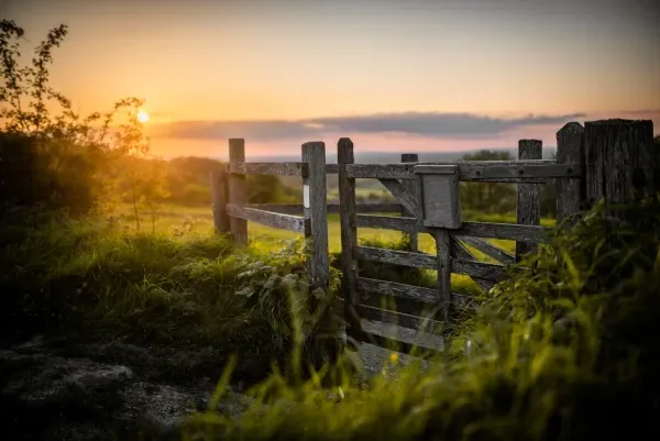 A wooden gate stands in a lush, grassy field during a vibrant golden sunset.