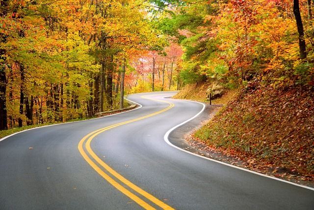 A winding asphalt road curves through a dense forest with vibrant yellow and orange autumn foliage.