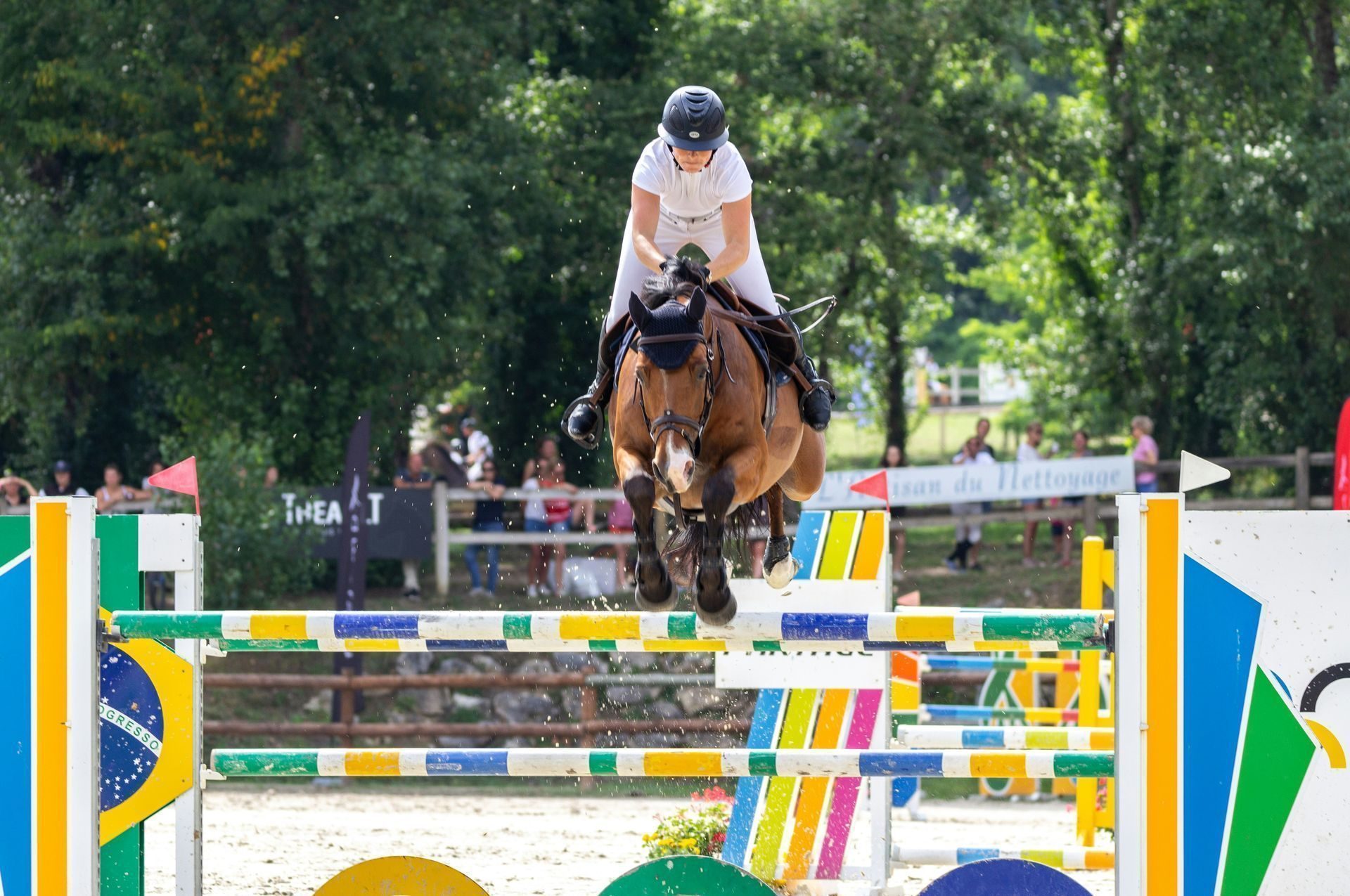 Pauline Renon international horse rider 