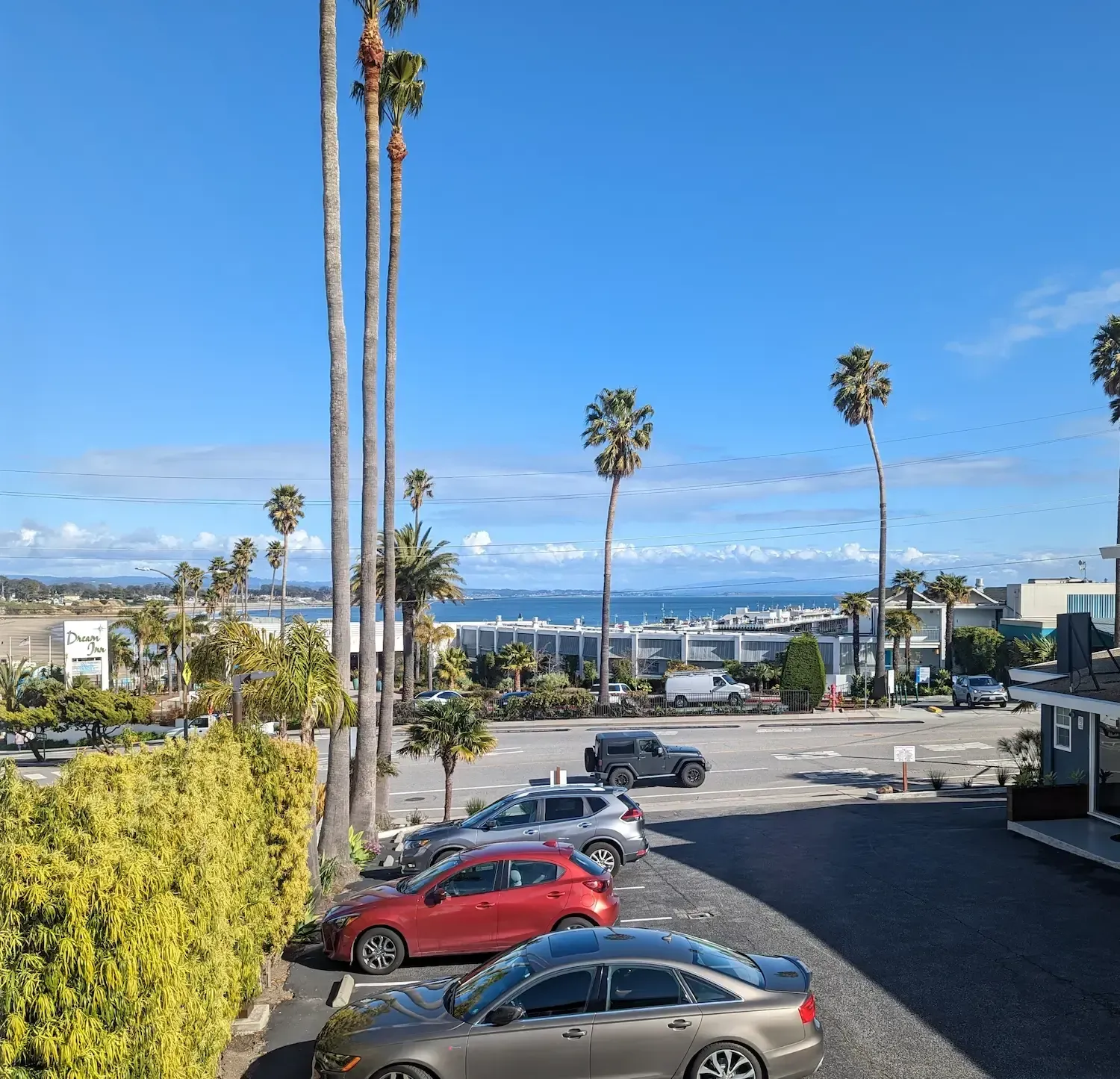 View of the ocean behind a building with palm trees along the street