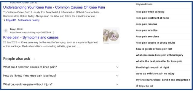 A screenshot of a website about knee pain
