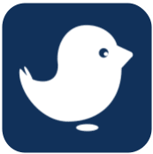A white bird is sitting on a blue square.