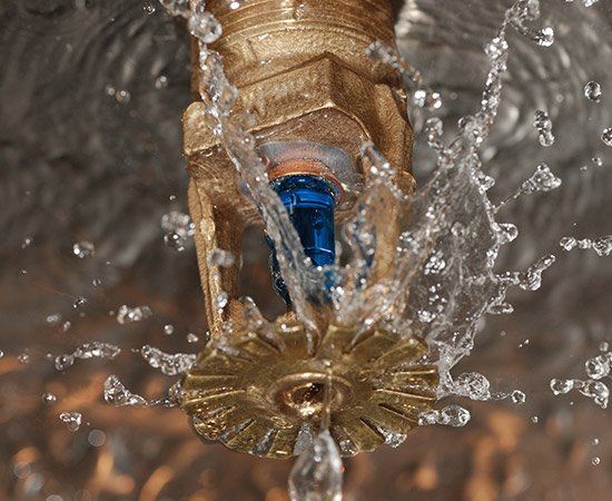 Close Up Look Of Fire Sprinkler — Birmingham, AL — Automatic Fire Systems Close Up Look Of Fire Sprinkler — Birmingham, AL — Automatic Fire Systems