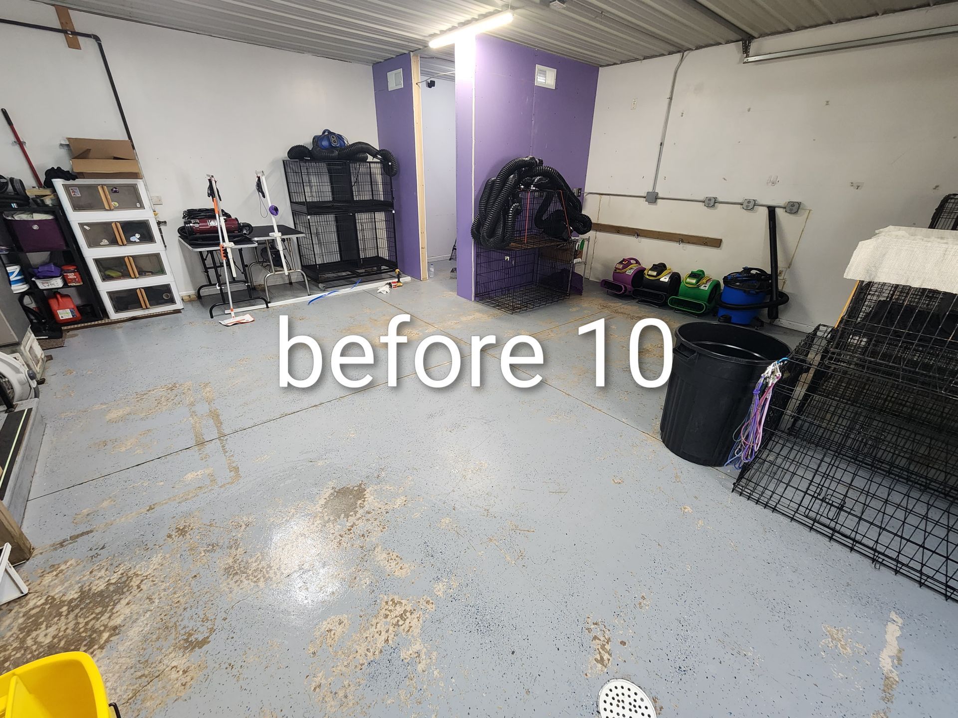 Cluttered garage before cleanup, with shelves, tools, netting, and spilled debris on the floor.