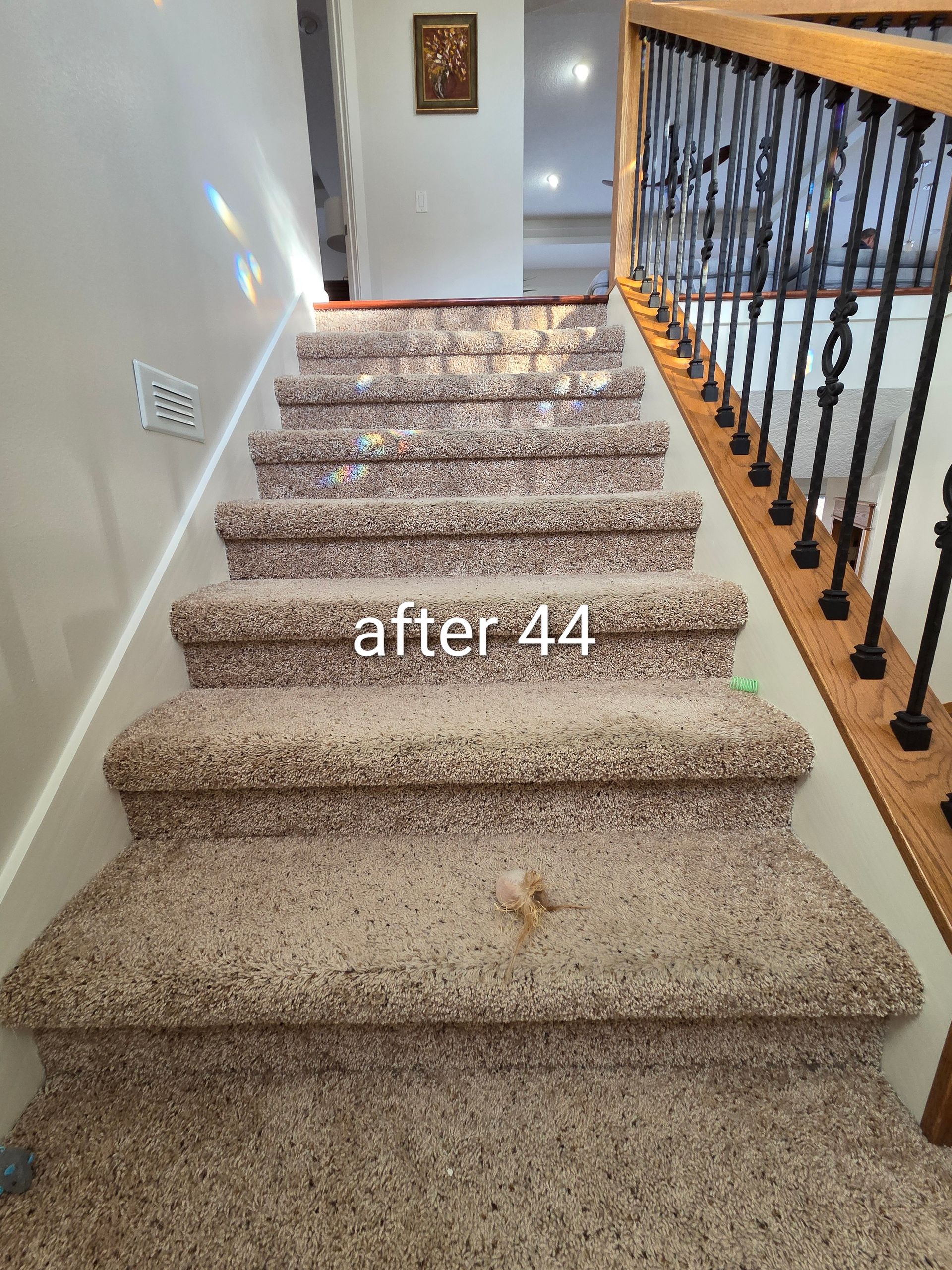 Carpeted staircase with wooden banister and black iron railing in a home hallway.