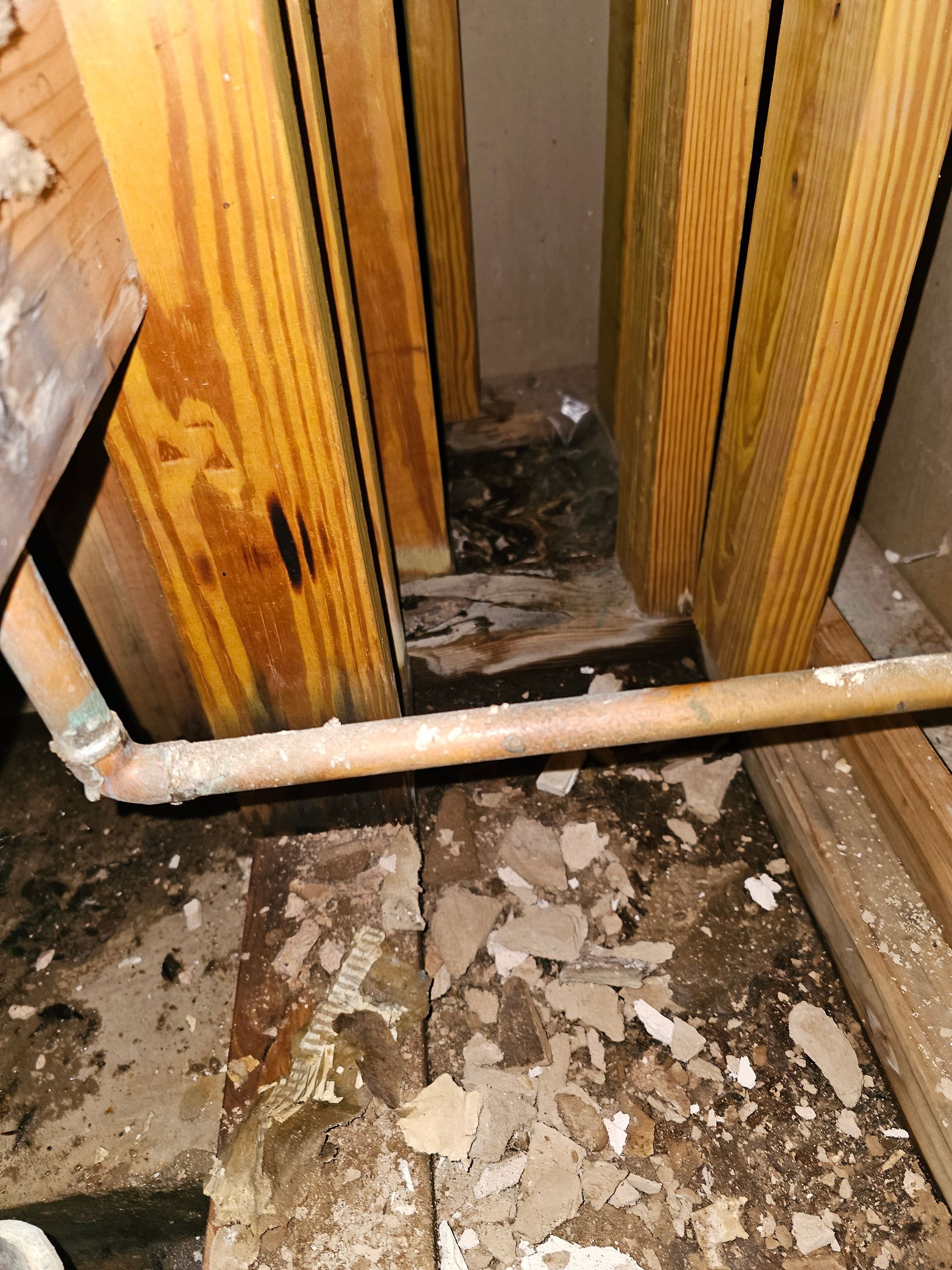 rotted flooring from leak