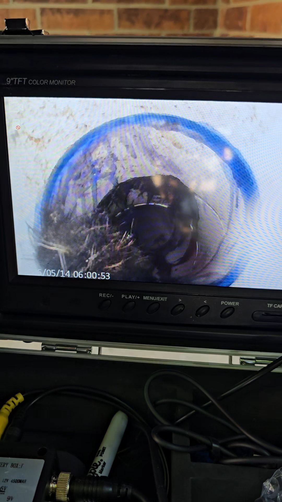 camera image showing roots