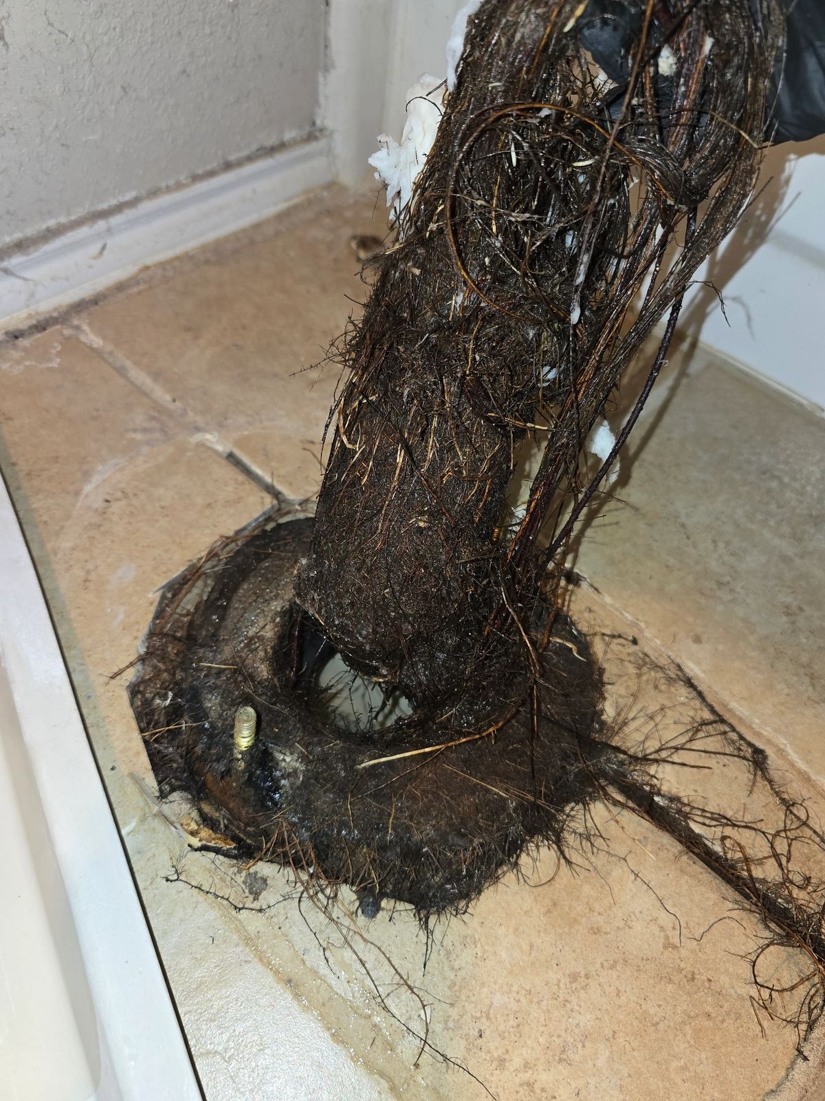 A tangled mass of tree roots pulled from a drain, resting on beige tiles.