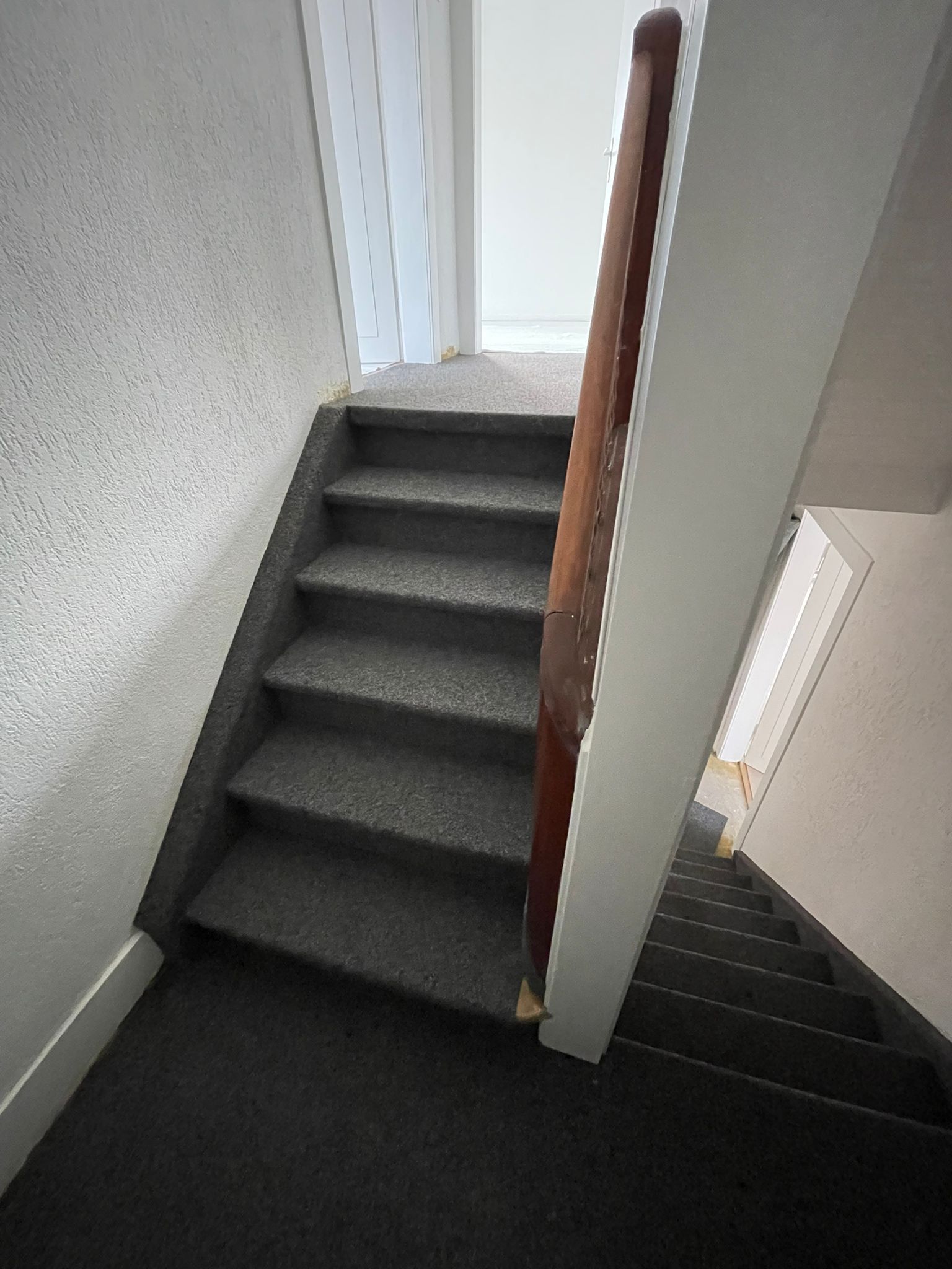 Treppe mit grauen, mit Teppich ausgelegten Stufen und einem hölzernen Handlauf, die nach oben und unten führt.