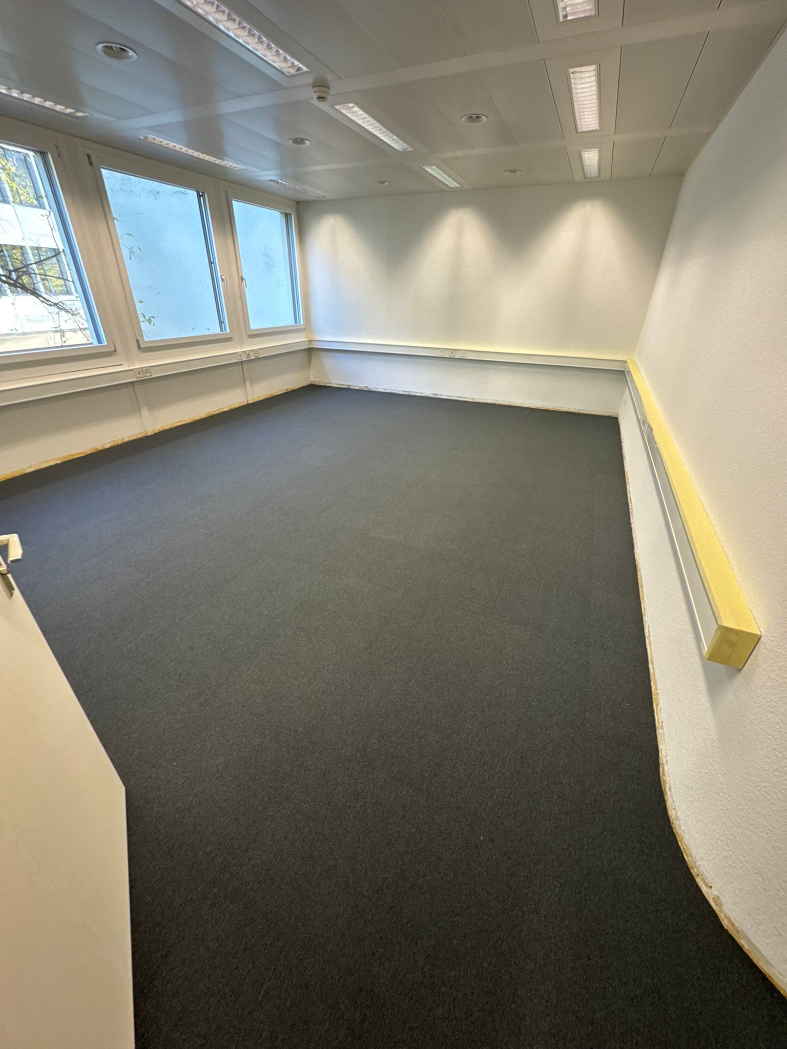 Leeres Büro mit dunkelgrauem Teppichboden, Fenstern und weißen Wänden.
