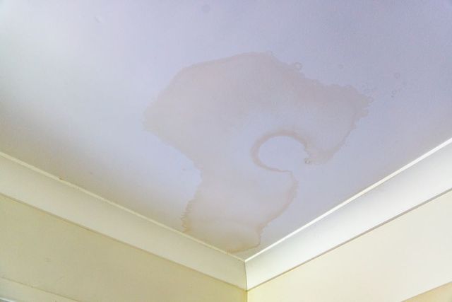 How To Paint Over A Water Stained Ceiling: Erase Stains Fast!