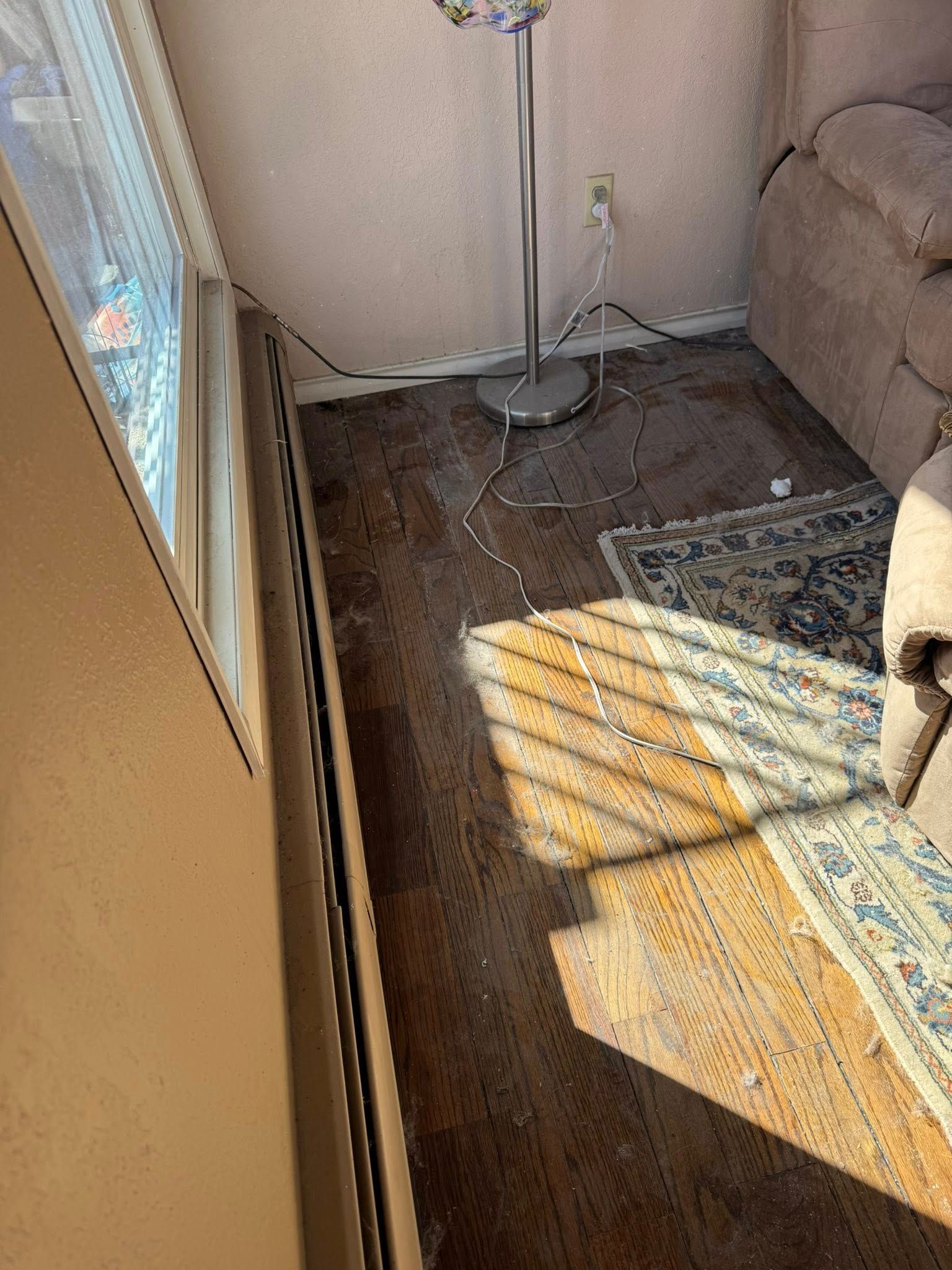 Sunlit, dirty wood floor with rugs and a couch. A window and lamp are also in the room.